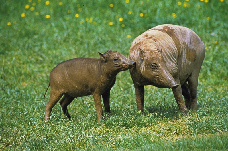 slowmotiongli/Shutterstock.com